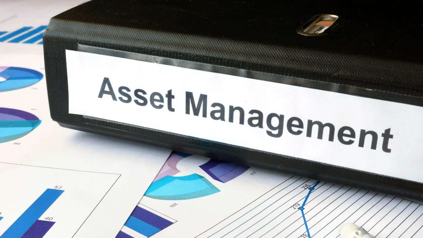 Asset management team inspecting fleet equipment